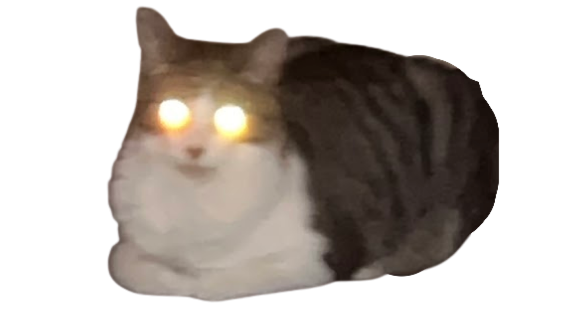 Toaster, the studio's chonky founder, glowing eyes and all